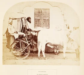 Guddees, Mussulmans, Rajpootana, de The People of India, par J. Forbes Watson, publié en 1868
